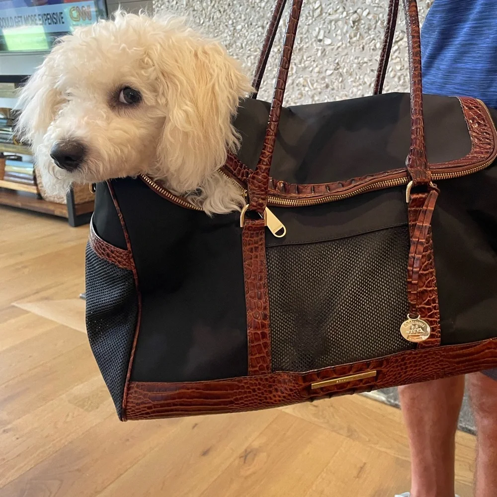 Elegant Black and Brown BRAHMIN Dog Carrier